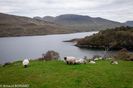 DSC_4668.jpg