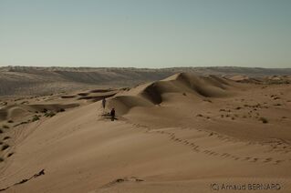 DSC_0449.jpg