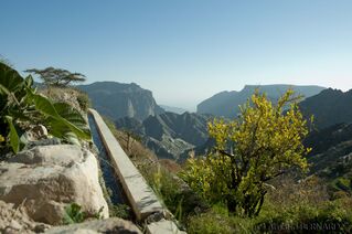 DSC_0558.jpg