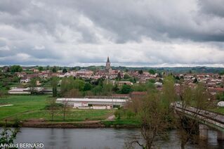 DSC_1165.jpg