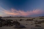 DSC_6088.jpg