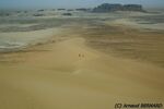 DSC_6314.jpg