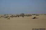 DSC_6360.jpg