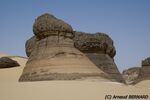 DSC_6393.jpg