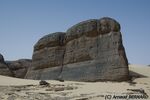 DSC_6394.jpg