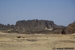 DSC_6395.jpg