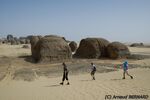DSC_6397.jpg