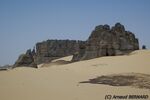 DSC_6404.jpg