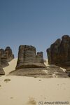 DSC_6409.jpg