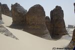 DSC_6414.jpg