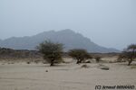 DSC_6555.jpg