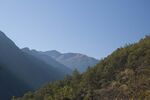DSC_9006.jpg