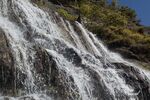 DSC_9017.jpg