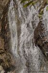 DSC_9020.jpg