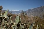 DSC_9137.jpg
