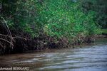 DSC_7730.jpg