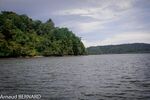 DSC_7732.jpg