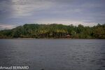 DSC_7733.jpg