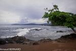 DSC_7739.jpg