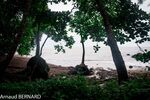 DSC_7745.jpg