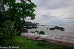 DSC_7746.jpg