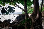 DSC_7747.jpg