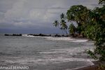 DSC_7757.jpg