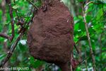 DSC_7761.jpg