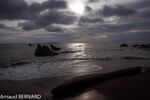 DSC_7765.jpg