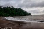 DSC_7766.jpg