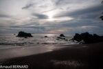 DSC_7767.jpg