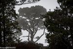 DSC_8123.jpg