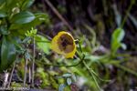 DSC_8127.jpg