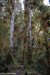 DSC_8130.jpg