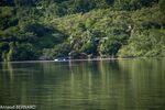 DSC_8027.jpg