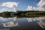 DSC_8030.jpg