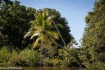 DSC_8032.jpg