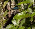 DSC_7049.jpg