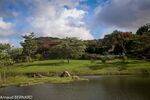 DSC_7316.jpg