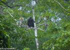 DSC_7333.jpg