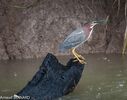 DSC_7347.jpg
