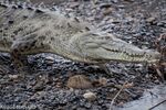 DSC_7359.jpg