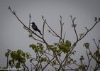DSC_7360.jpg