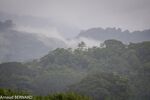 DSC_7361.jpg