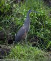 DSC_7363.jpg