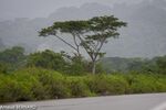 DSC_7364.jpg