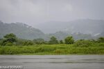 DSC_7365.jpg