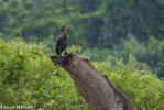 DSC_7370.jpg