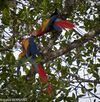 DSC_7374.jpg