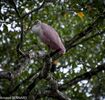 DSC_7376.jpg